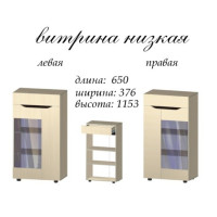 Аякс Вітрина низька ЛІВА 650х376х1183 h 21027 Дуб молочний / венге магія Master-Form