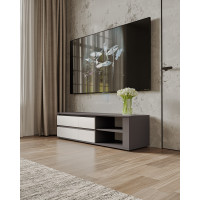 Тумба под телевизор с дверцей TV Т-205 Moreli