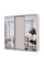 Шкаф купе Сити Лайт Кашемир 1 ДСП / 2 зеркала 225х60х225 Doros