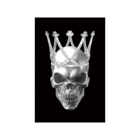 Картина SKULL II 80X120 SKULLII80 Signal