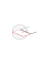 Стол обеденный раскладной GD-020 120 Белый GD020B Signal